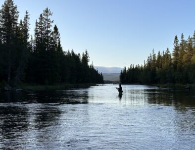 IMG_4756